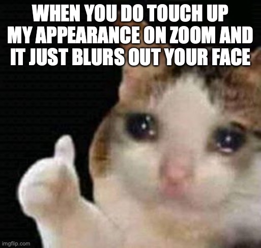 sad thumbs up cat | WHEN YOU DO TOUCH UP MY APPEARANCE ON ZOOM AND IT JUST BLURS OUT YOUR FACE | image tagged in sad thumbs up cat | made w/ Imgflip meme maker