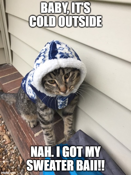 Cold Outside | BABY, IT'S COLD OUTSIDE; NAH. I GOT MY SWEATER BAII!! | image tagged in cute kittens | made w/ Imgflip meme maker