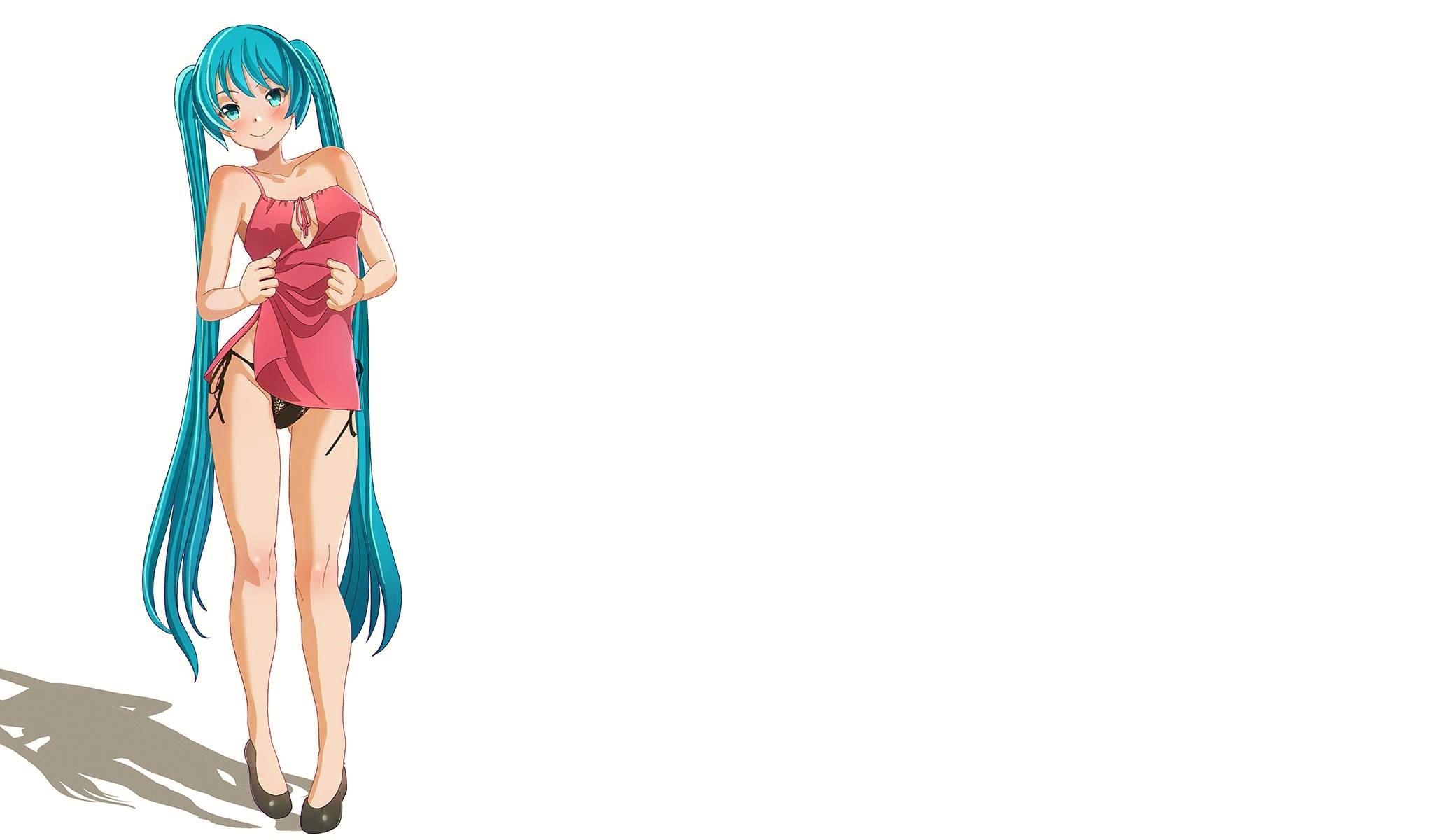 High Quality Sexy Miku pulling up her skirt Blank Meme Template