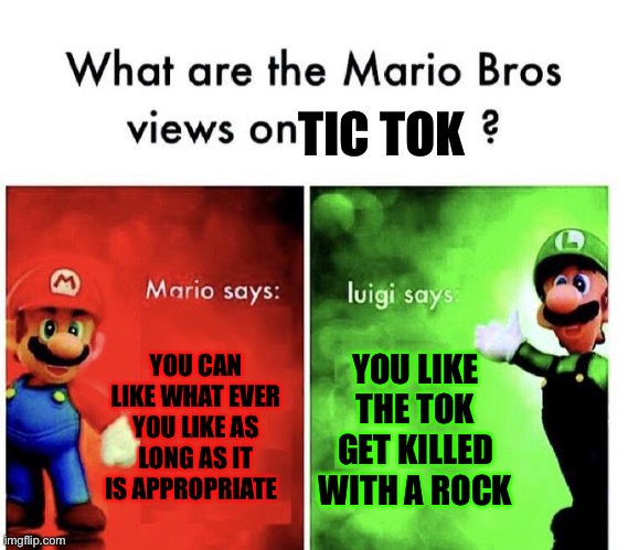 Mario Bros Views | TIC TOK; YOU CAN LIKE WHAT EVER YOU LIKE AS LONG AS IT IS APPROPRIATE; YOU LIKE THE TOK GET KILLED WITH A ROCK | image tagged in mario bros views | made w/ Imgflip meme maker