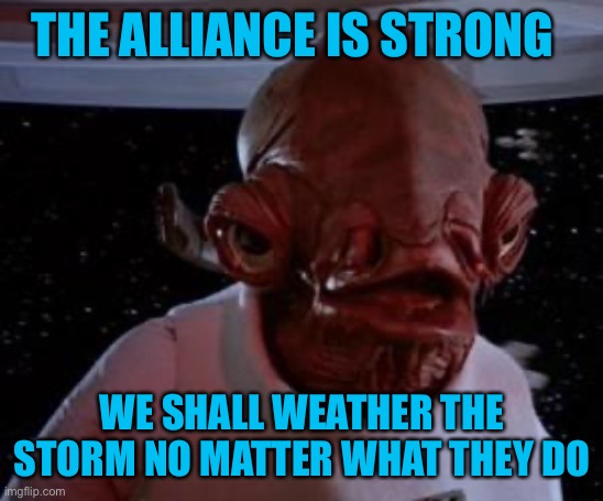 Admiral Ackbar | THE ALLIANCE IS STRONG WE SHALL WEATHER THE STORM NO MATTER WHAT THEY DO | image tagged in admiral ackbar | made w/ Imgflip meme maker