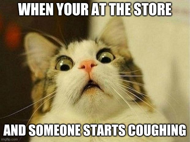 Scared Cat Meme | WHEN YOUR AT THE STORE; AND SOMEONE STARTS COUGHING | image tagged in memes,scared cat | made w/ Imgflip meme maker