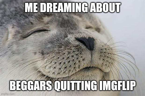 Satisfied Seal Meme | ME DREAMING ABOUT; BEGGARS QUITTING IMGFLIP | image tagged in memes,satisfied seal | made w/ Imgflip meme maker
