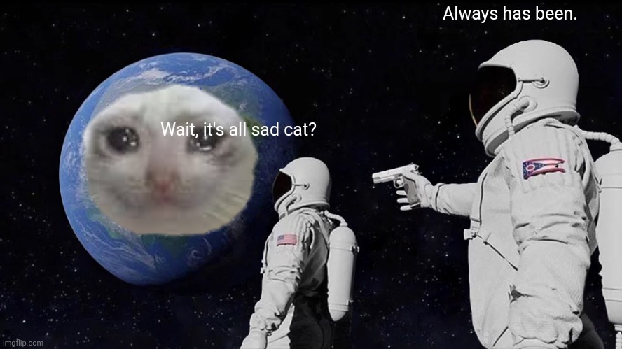 Everything is sad | Always has been. Wait, it's all sad cat? | image tagged in memes,always has been,sad cat | made w/ Imgflip meme maker