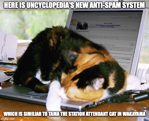 Sleeping Cat | HERE IS UNCYCLOPEDIA'S NEW ANTI-SPAM SYSTEM; WHICH IS SIMILIAR TO TAMA THE STATION ATTENDANT CAT IN WAKAYAMA | image tagged in cat,memes,laptop | made w/ Imgflip meme maker