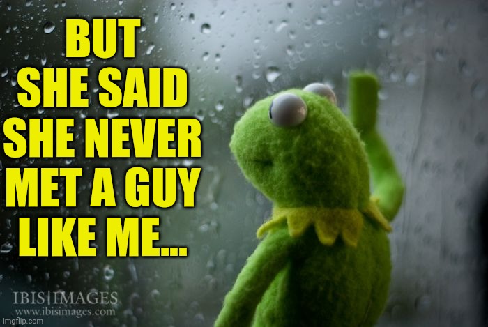 kermit window | BUT SHE SAID SHE NEVER MET A GUY LIKE ME... | image tagged in kermit window | made w/ Imgflip meme maker
