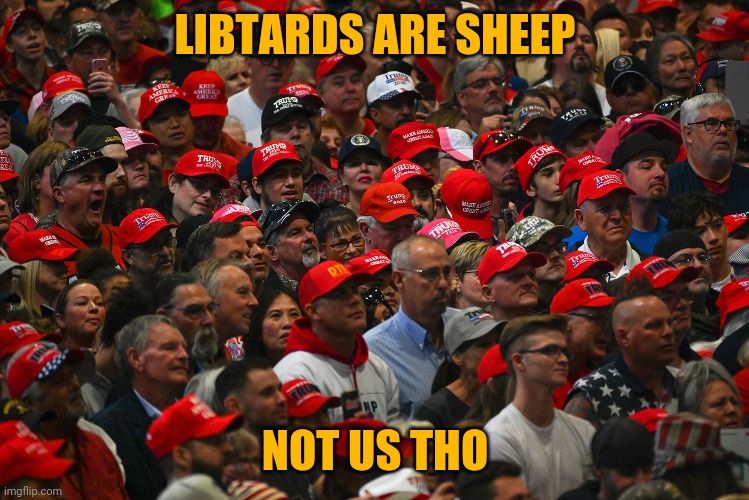 LIBTARDS ARE SHEEP NOT US THO | made w/ Imgflip meme maker
