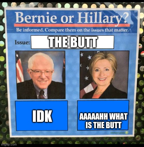 hey look it is that weird politician | THE BUTT; IDK; AAAAAHH WHAT IS THE BUTT | image tagged in bernie or hillary | made w/ Imgflip meme maker