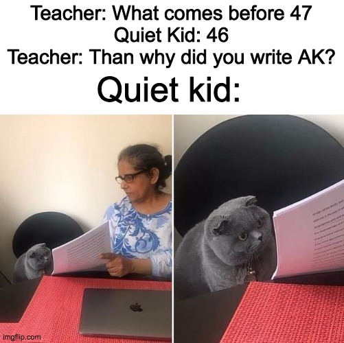 Woman showing paper to cat | Teacher: What comes before 47
Quiet Kid: 46
Teacher: Than why did you write AK? Quiet kid: | image tagged in woman showing paper to cat | made w/ Imgflip meme maker