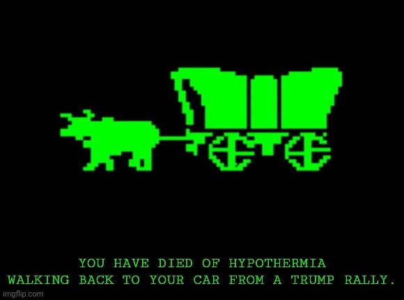 Oregon trail | YOU HAVE DIED OF HYPOTHERMIA WALKING BACK TO YOUR CAR FROM A TRUMP RALLY. | image tagged in oregon trail | made w/ Imgflip meme maker