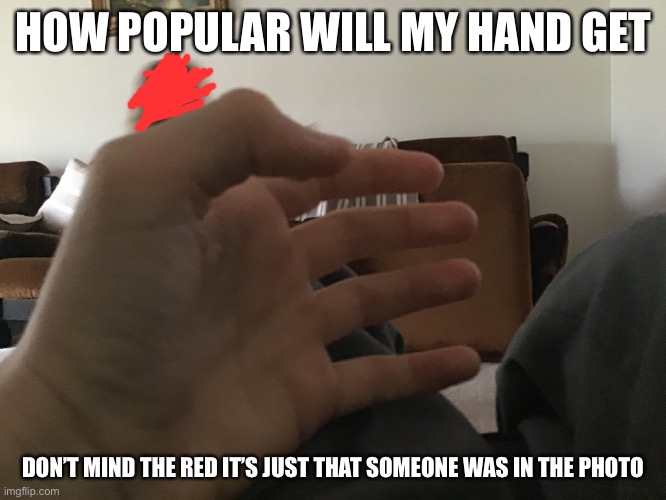 I wonder how popular it will get | HOW POPULAR WILL MY HAND GET; DON’T MIND THE RED IT’S JUST THAT SOMEONE WAS IN THE PHOTO | image tagged in hand | made w/ Imgflip meme maker