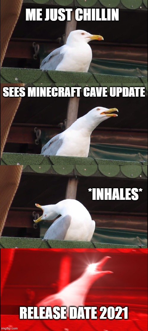 Inhaling Seagull Meme | ME JUST CHILLIN; SEES MINECRAFT CAVE UPDATE; *INHALES*; RELEASE DATE 2021 | image tagged in memes,inhaling seagull | made w/ Imgflip meme maker