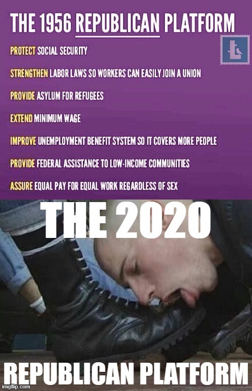 Make Republicans Great Again! | image tagged in republicans,gop,republican party,2020 elections,election 2020,2020 | made w/ Imgflip meme maker