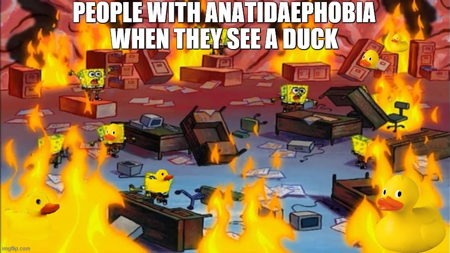 Spongebobs panicking |  PEOPLE WITH ANATIDAEPHOBIA WHEN THEY SEE A DUCK | image tagged in spongebobs panicking | made w/ Imgflip meme maker