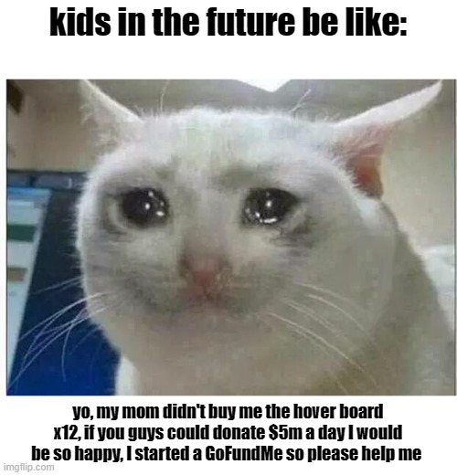 crying cat | kids in the future be like:; yo, my mom didn't buy me the hover board x12, if you guys could donate $5m a day I would be so happy, I started a GoFundMe so please help me | image tagged in crying cat | made w/ Imgflip meme maker