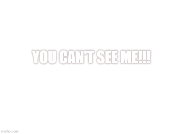 Blank White Template | YOU CAN'T SEE ME!!! | image tagged in blank white template | made w/ Imgflip meme maker