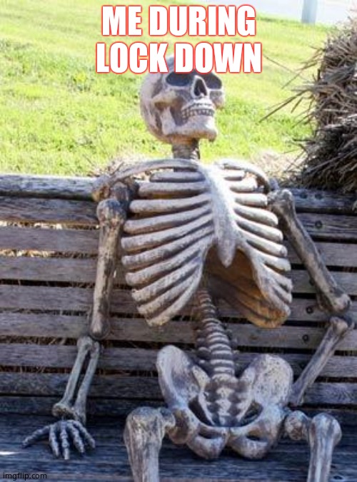 Waiting Skeleton | ME DURING LOCK DOWN | image tagged in memes,waiting skeleton | made w/ Imgflip meme maker
