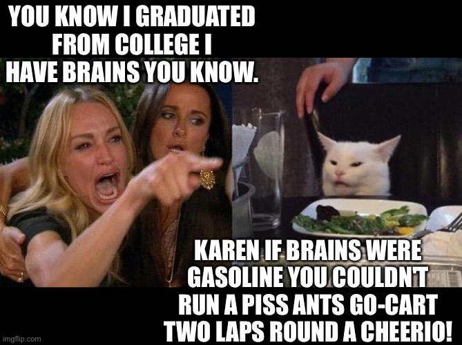 Woman yelling at cat | YOU KNOW I GRADUATED FROM COLLEGE I HAVE BRAINS YOU KNOW. KAREN IF BRAINS WERE GASOLINE YOU COULDN'T RUN A PISS ANTS GO-CART TWO LAPS ROUND A CHEERIO! | image tagged in girl screaming at cat | made w/ Imgflip meme maker