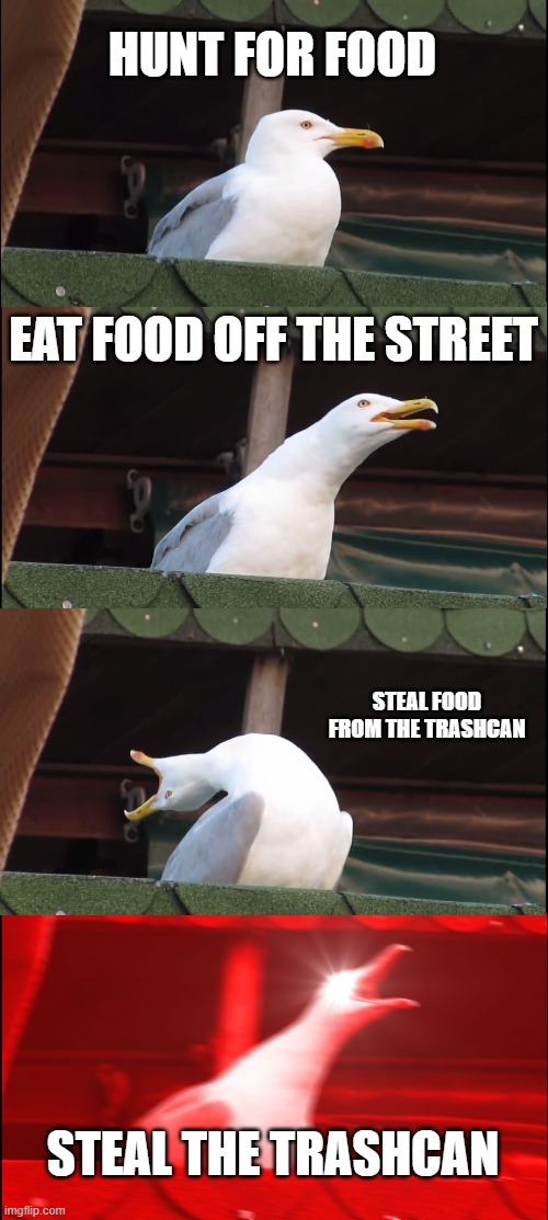 Inhaling Seagull Meme | HUNT FOR FOOD; EAT FOOD OFF THE STREET; STEAL FOOD FROM THE TRASHCAN; STEAL THE TRASHCAN | image tagged in memes,inhaling seagull | made w/ Imgflip meme maker