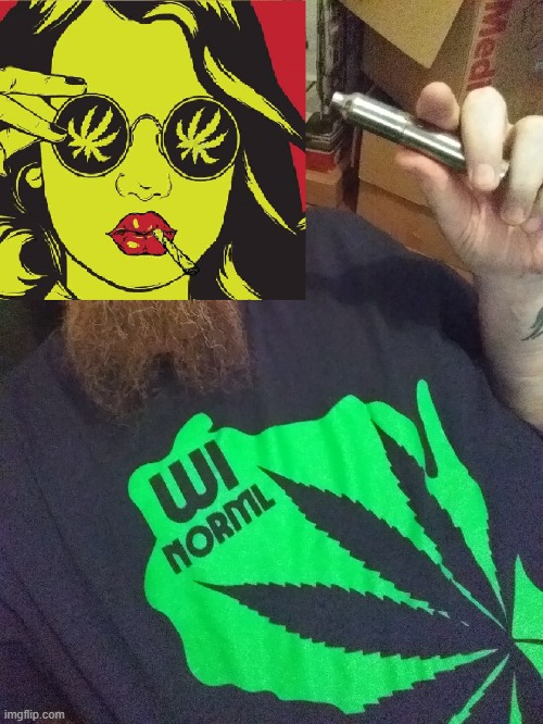 image tagged in wi norml,weed memes,420 stream | made w/ Imgflip meme maker