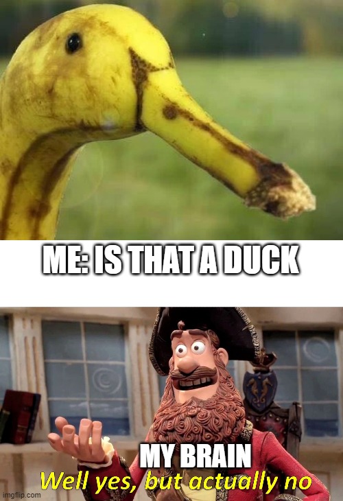 banana duck |  ME: IS THAT A DUCK; MY BRAIN | image tagged in memes,well yes but actually no,banana,duck | made w/ Imgflip meme maker