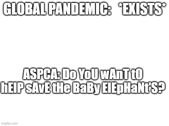Blank White Template | GLOBAL PANDEMIC:   *EXISTS*; ASPCA: Do YoU wAnT tO hElP sAvE tHe BaBy ElEpHaNt'S? | image tagged in blank white template | made w/ Imgflip meme maker