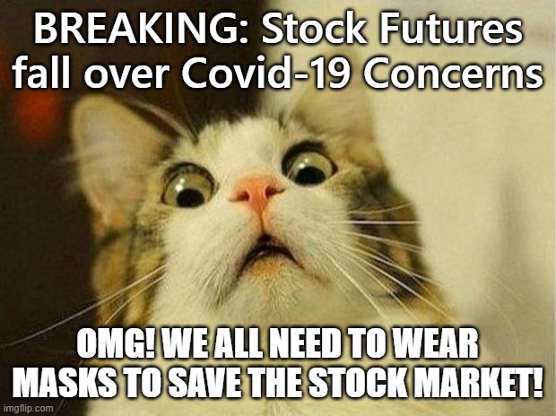 Yes . . .This is what they want you to believe | BREAKING: Stock Futures fall over Covid-19 Concerns; OMG! WE ALL NEED TO WEAR MASKS TO SAVE THE STOCK MARKET! | image tagged in memes,scared cat,covid-19 | made w/ Imgflip meme maker