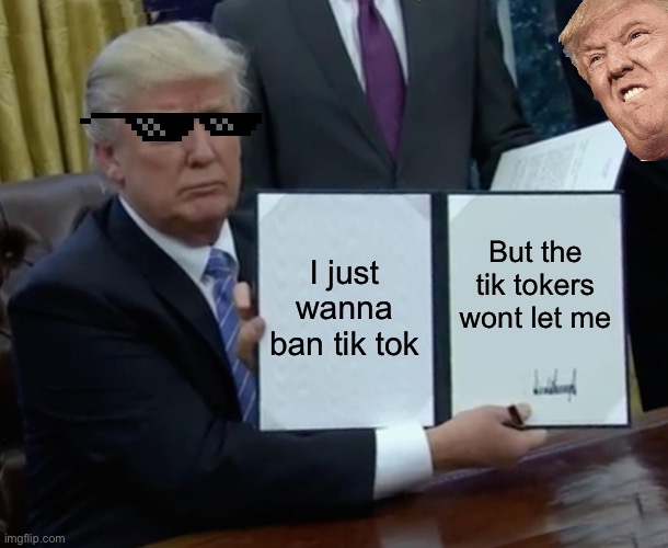 I do | I just wanna ban tik tok; But the tik tokers wont let me | image tagged in memes,trump bill signing | made w/ Imgflip meme maker