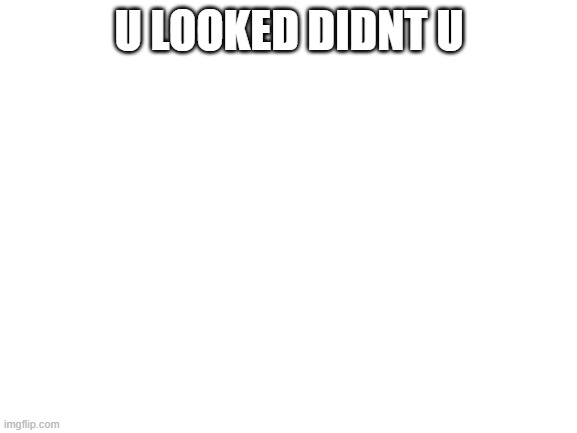 Blank White Template | U LOOKED DIDNT U | image tagged in blank white template | made w/ Imgflip meme maker