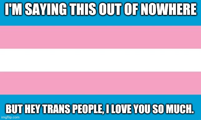 I love all of my Trans buddies | I'M SAYING THIS OUT OF NOWHERE; BUT HEY TRANS PEOPLE, I LOVE YOU SO MUCH. | image tagged in transgender flag | made w/ Imgflip meme maker