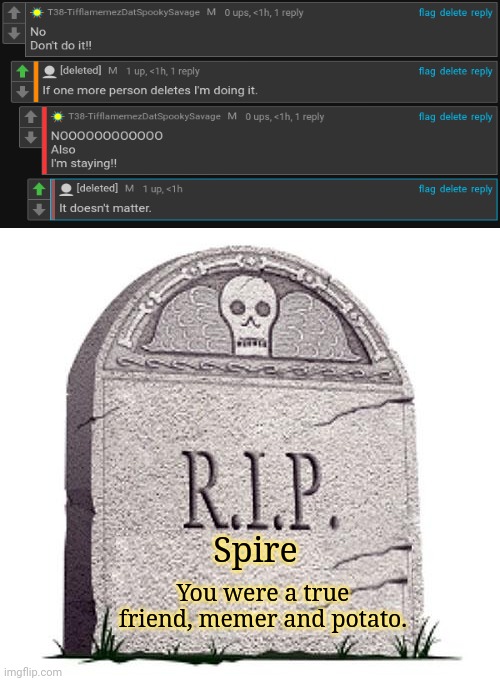 Spire is deleted. This is the last conversation me and Spire had on here. | Spire; You were a true friend, memer and potato. | image tagged in rip,memes,meme,rest in peace,dank memes,dank meme | made w/ Imgflip meme maker