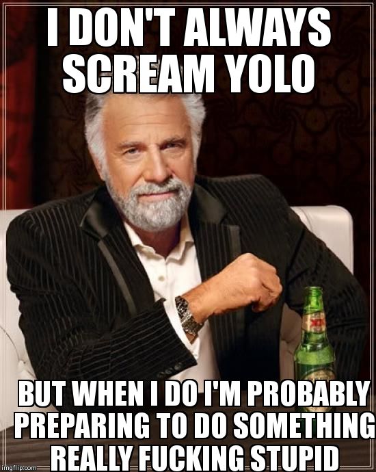 The only acceptable YOLO reference | image tagged in memes,the most interesting man in the world | made w/ Imgflip meme maker