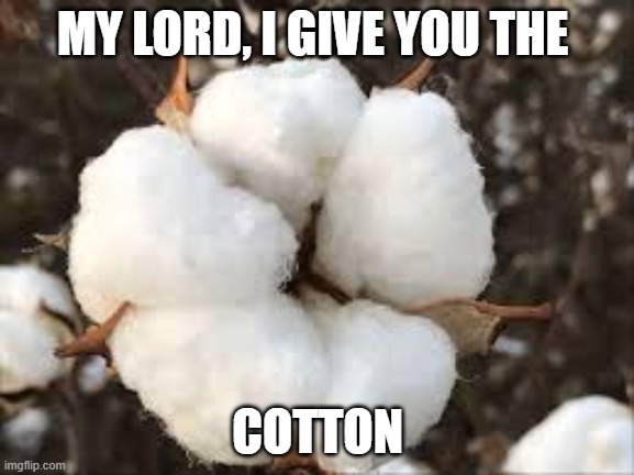 MY LORD, I GIVE YOU THE; COTTON | made w/ Imgflip meme maker