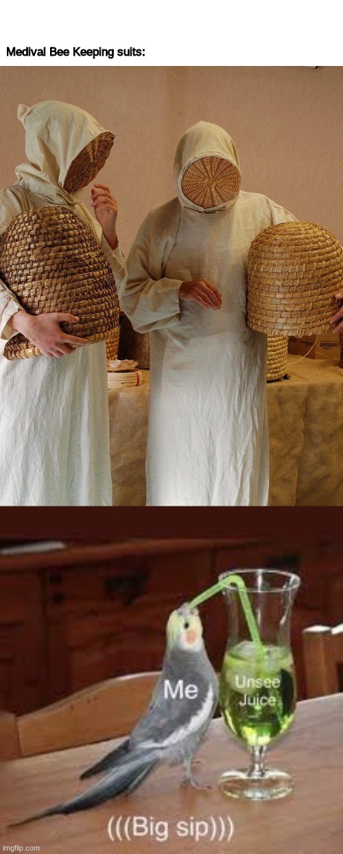 plague doctors are out, medieval bee keeping suits are in | Medival Bee Keeping suits: | image tagged in unsee juice,can't unsee | made w/ Imgflip meme maker