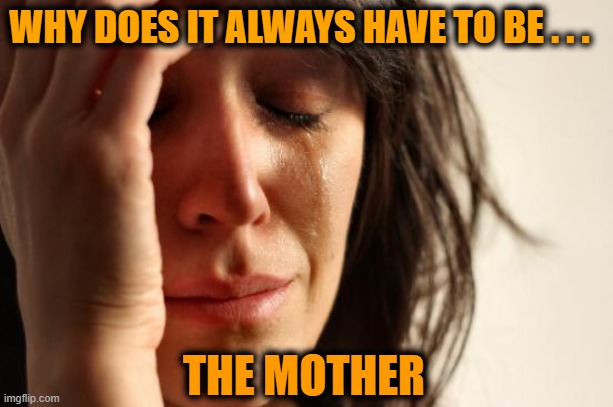 They might ask the question but we all know the answer | WHY DOES IT ALWAYS HAVE TO BE . . . THE MOTHER | image tagged in first world problems,funny because it's true,mothers,sigmund freud,do you wanna talk about it,why not | made w/ Imgflip meme maker