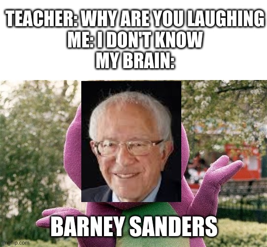 sorry, I kinda had to | TEACHER: WHY ARE YOU LAUGHING
ME: I DON'T KNOW
MY BRAIN:; BARNEY SANDERS | image tagged in barney | made w/ Imgflip meme maker