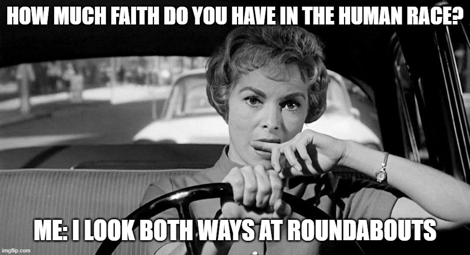 Human Race | HOW MUCH FAITH DO YOU HAVE IN THE HUMAN RACE? ME: I LOOK BOTH WAYS AT ROUNDABOUTS | image tagged in lady driving worried,faith in humanity | made w/ Imgflip meme maker