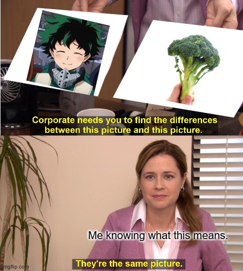 I saw this and just had to. | Me knowing what this means. | image tagged in they're the same picture,mha | made w/ Imgflip meme maker