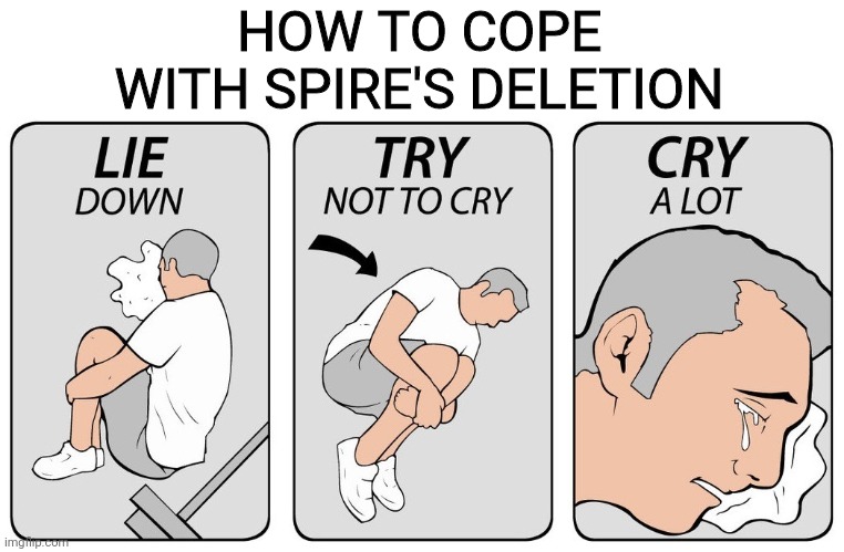 try not to cry | HOW TO COPE WITH SPIRE'S DELETION | image tagged in try not to cry | made w/ Imgflip meme maker