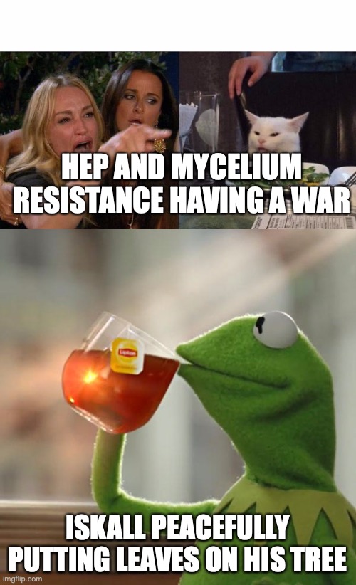 Hermet Problems 3 | HEP AND MYCELIUM RESISTANCE HAVING A WAR; ISKALL PEACEFULLY PUTTING LEAVES ON HIS TREE | image tagged in memes,but that's none of my business,woman yelling at cat | made w/ Imgflip meme maker