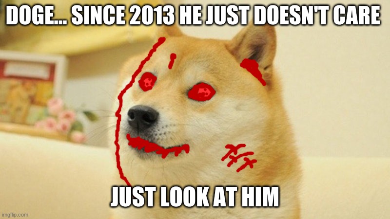 Dont do it | DOGE... SINCE 2013 HE JUST DOESN'T CARE; JUST LOOK AT HIM | image tagged in doge | made w/ Imgflip meme maker