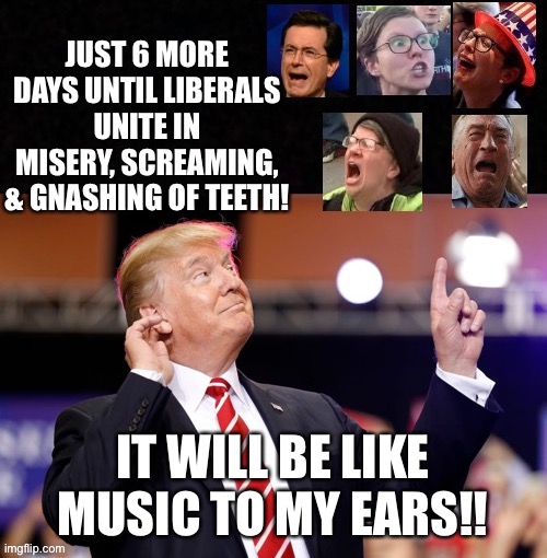 What a glorious night that will be!!  MAGA! Trump 2020!! | IT WILL BE LIKE MUSIC TO MY EARS!! | image tagged in maga,trump 2020 | made w/ Imgflip meme maker