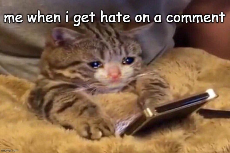 me when i get hate on a comment | image tagged in cats | made w/ Imgflip meme maker