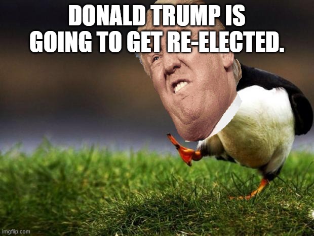 We all know it so quit whining. | DONALD TRUMP IS GOING TO GET RE-ELECTED. | image tagged in memes,unpopular opinion puffin,trump for president,2020 elections,donald trump,political meme | made w/ Imgflip meme maker