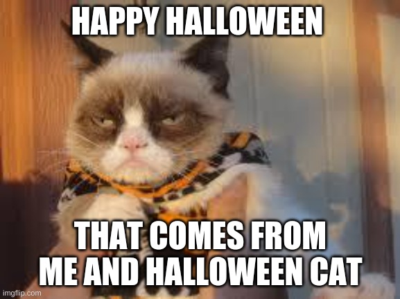 happy halloween! | HAPPY HALLOWEEN; THAT COMES FROM ME AND HALLOWEEN CAT | image tagged in memes,grumpy cat halloween,grumpy cat,halloween | made w/ Imgflip meme maker