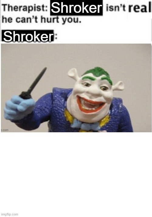 Shroker | Shroker; Shroker | image tagged in therapist | made w/ Imgflip meme maker
