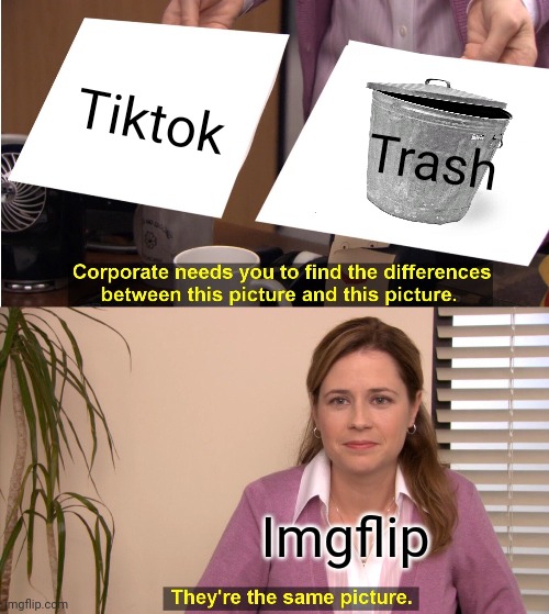 Are we still doing these memes?? I was not updated on everything thatvis happening. | Tiktok; Trash; Imgflip | image tagged in memes,they're the same picture | made w/ Imgflip meme maker
