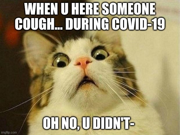 covid-19 | WHEN U HERE SOMEONE COUGH... DURING COVID-19; OH NO, U DIDN'T- | image tagged in memes,scared cat | made w/ Imgflip meme maker