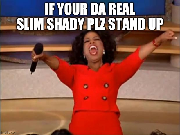 slim shady | IF YOUR DA REAL SLIM SHADY PLZ STAND UP | image tagged in memes,oprah you get a | made w/ Imgflip meme maker