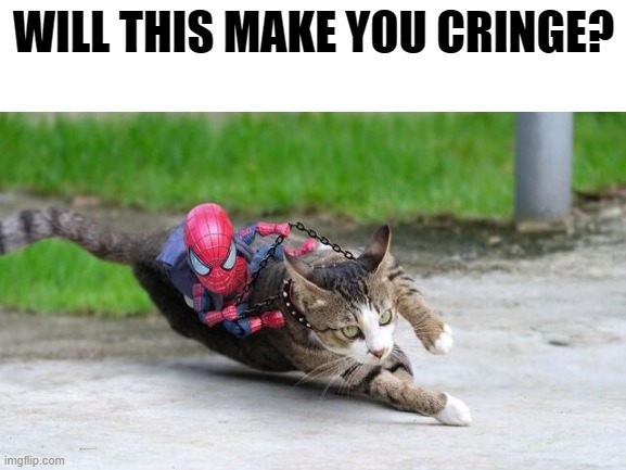 Will this make you cringe? | WILL THIS MAKE YOU CRINGE? | image tagged in cat | made w/ Imgflip meme maker